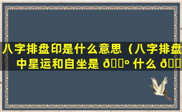 八字排盘印是什么意思（八字排盘中星运和自坐是 🐺 什么 🐼 意思）
